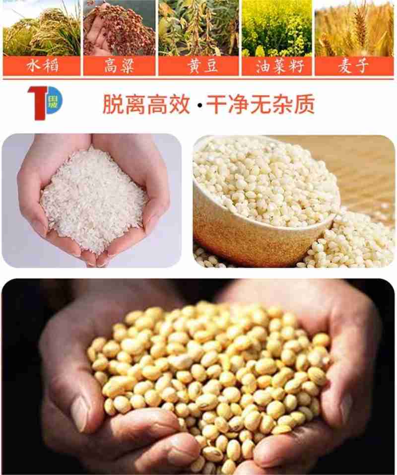 设计:王连香
